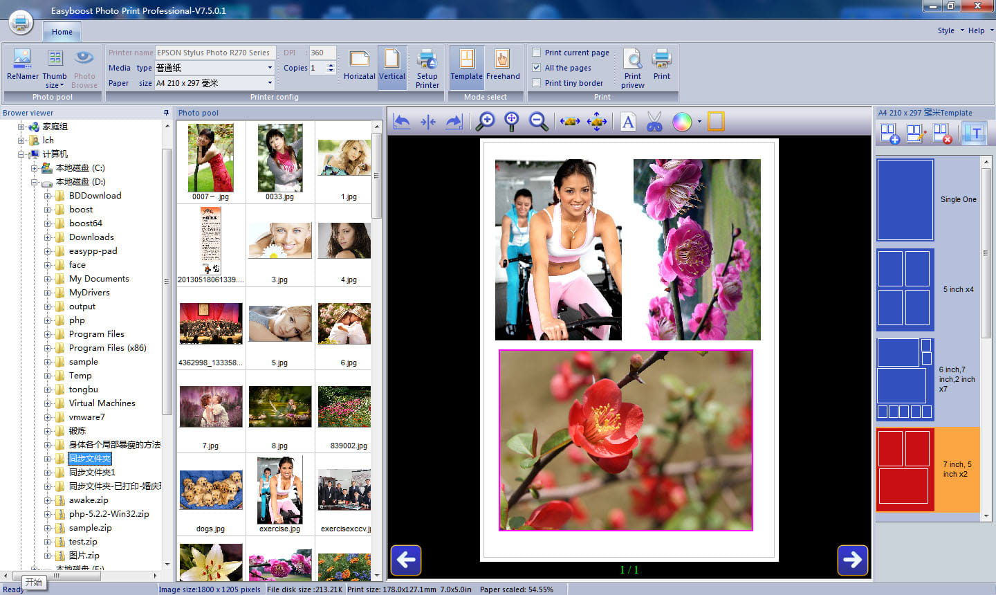 easy photo print software